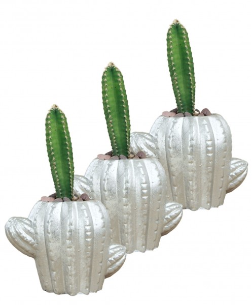 Mini Çiçek Saksı Küçük Sukulent Gümüş Kaktüs Saksısı 3lü Set Kaktüs Figür Model